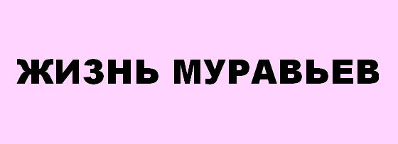 жизнь муравьев